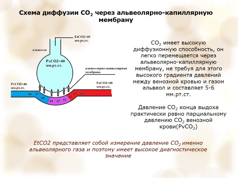 Схема диффузии СО2 через альвеолярно-капиллярную мембрану СО2 имеет высокую диффузионную способность, он легко перемещается